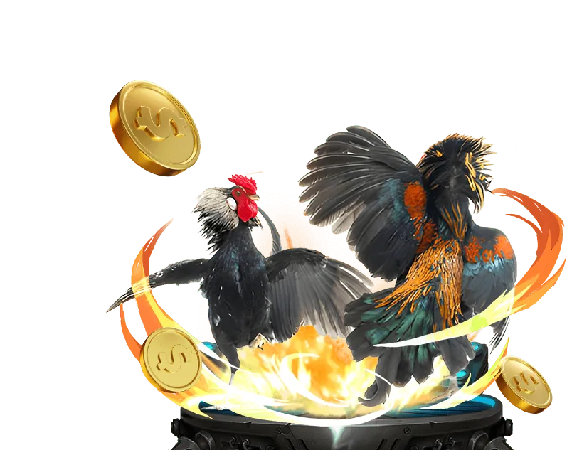 Mẹo cá cược đá gà hiệu quả từ chuyên gia w888 casino